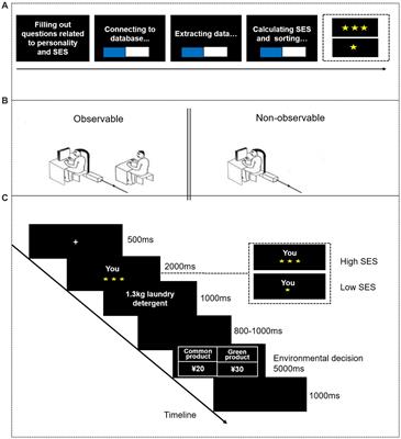 Social observation modulates the influence of socioeconomic status on pro-environmental behavior: an event-related potential study